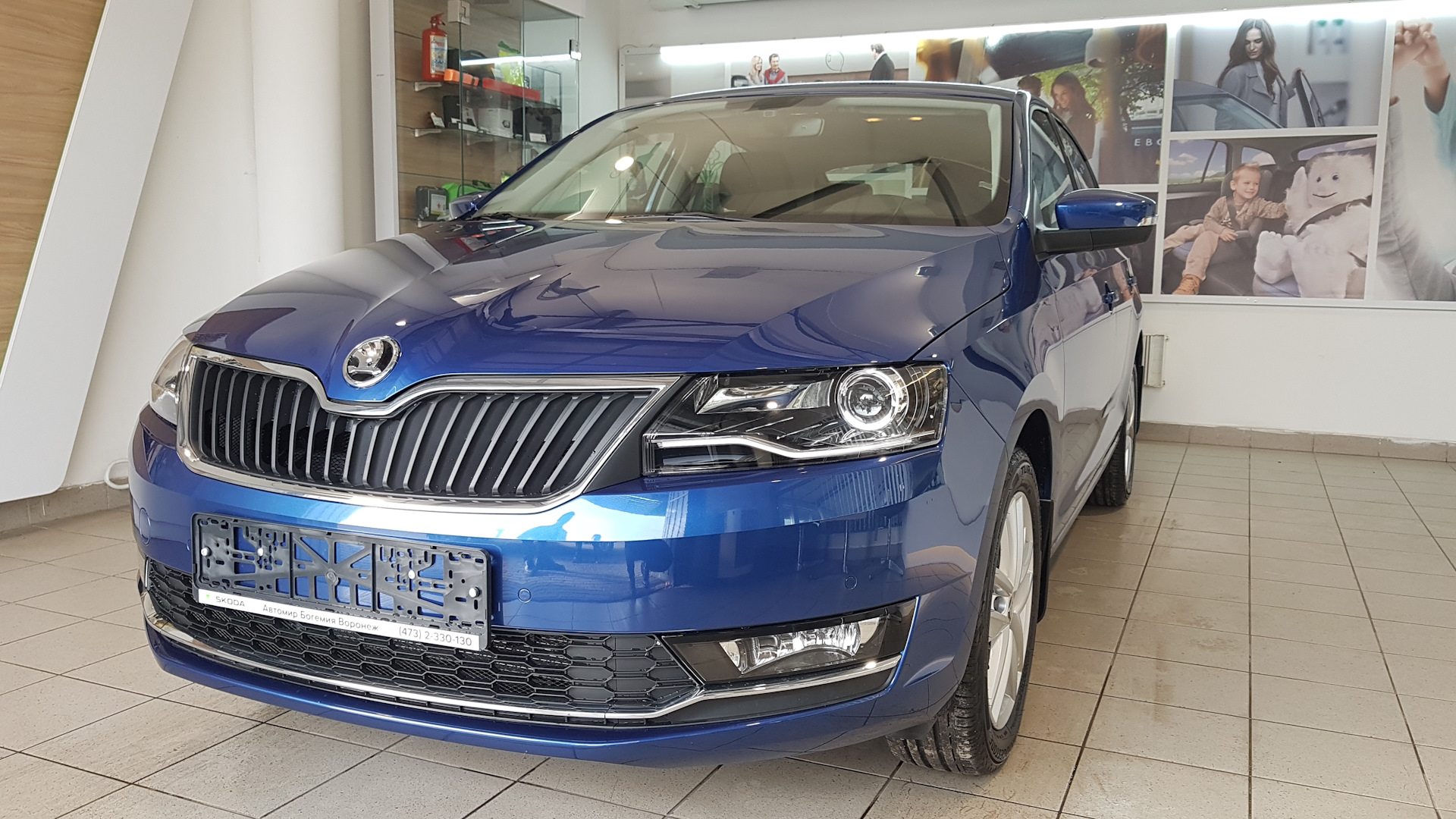 Skoda Rapid (1G) 1.6 бензиновый 2019 | Bluebird™ ver.2 на DRIVE2