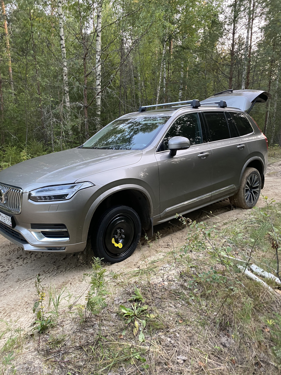 Покатался по лесу. Пробил колесо. Ищу б/у шину — Volvo XC90 (2G), 2 л, 2020  года | шины | DRIVE2