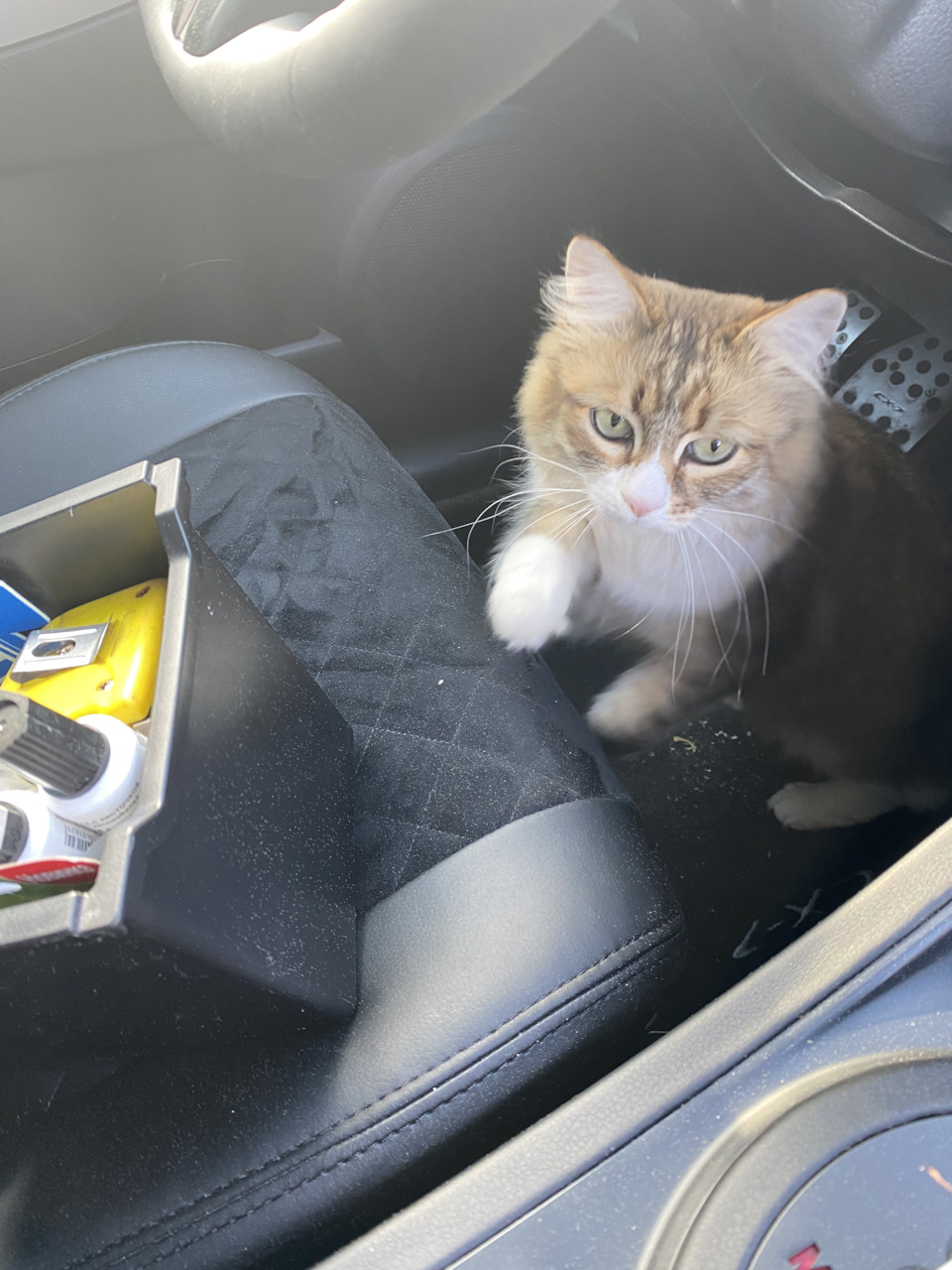 Помощница — Mazda CX-7