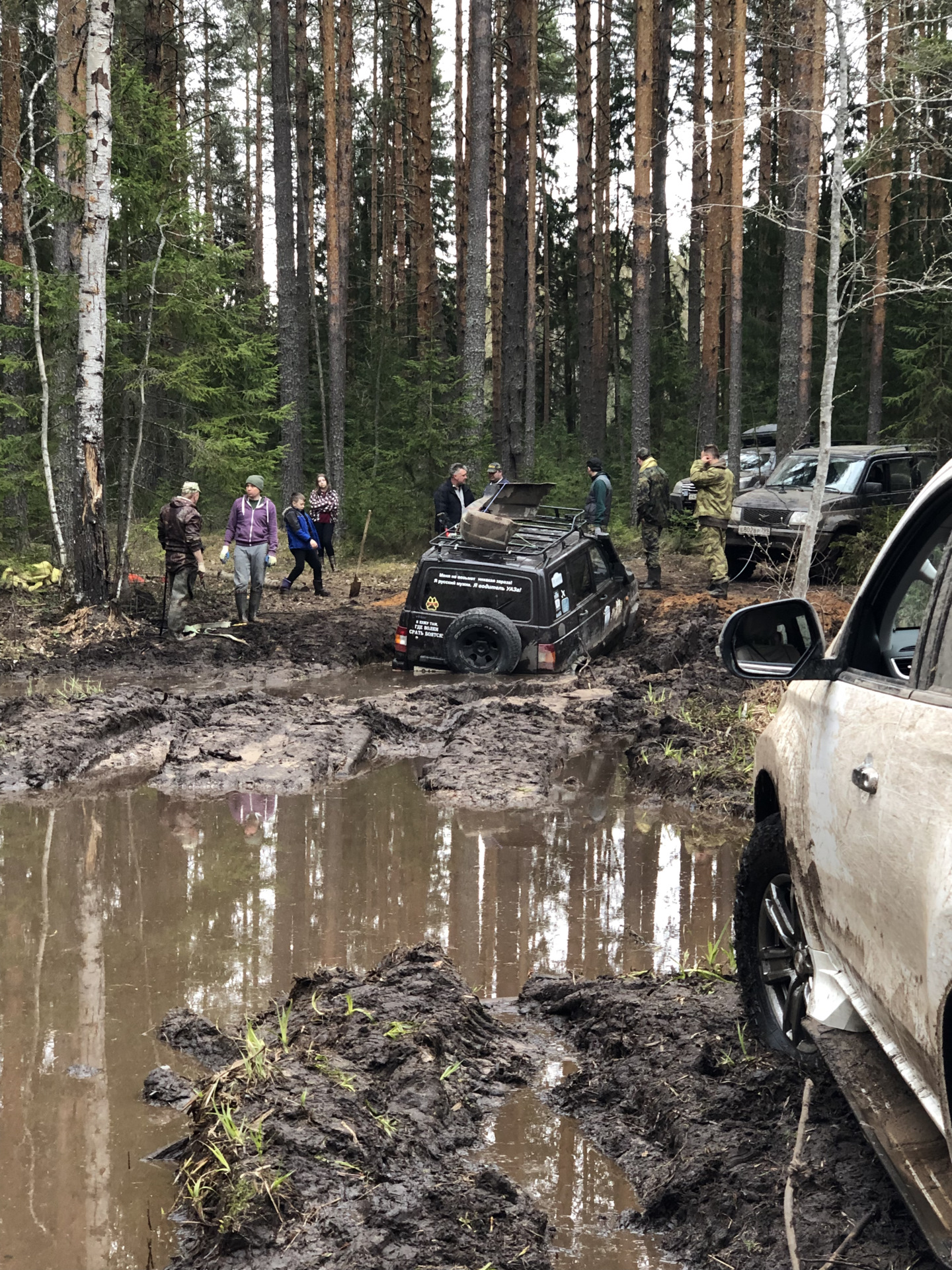 Погода дер стрельчиха тверская область