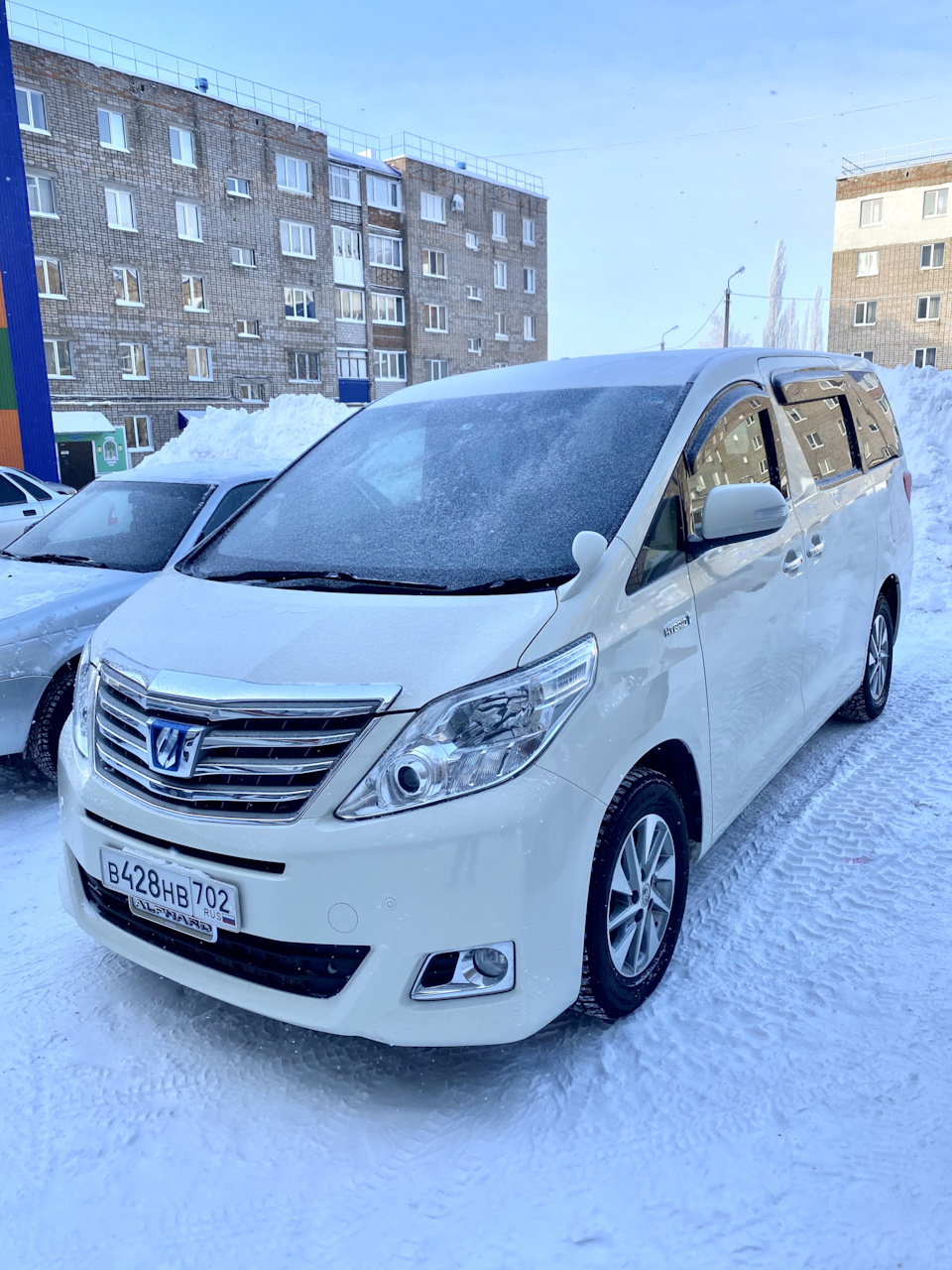 Ну вот и сбылась мечта — Toyota Alphard (2G), 2,4 л, 2013 года | покупка  машины | DRIVE2