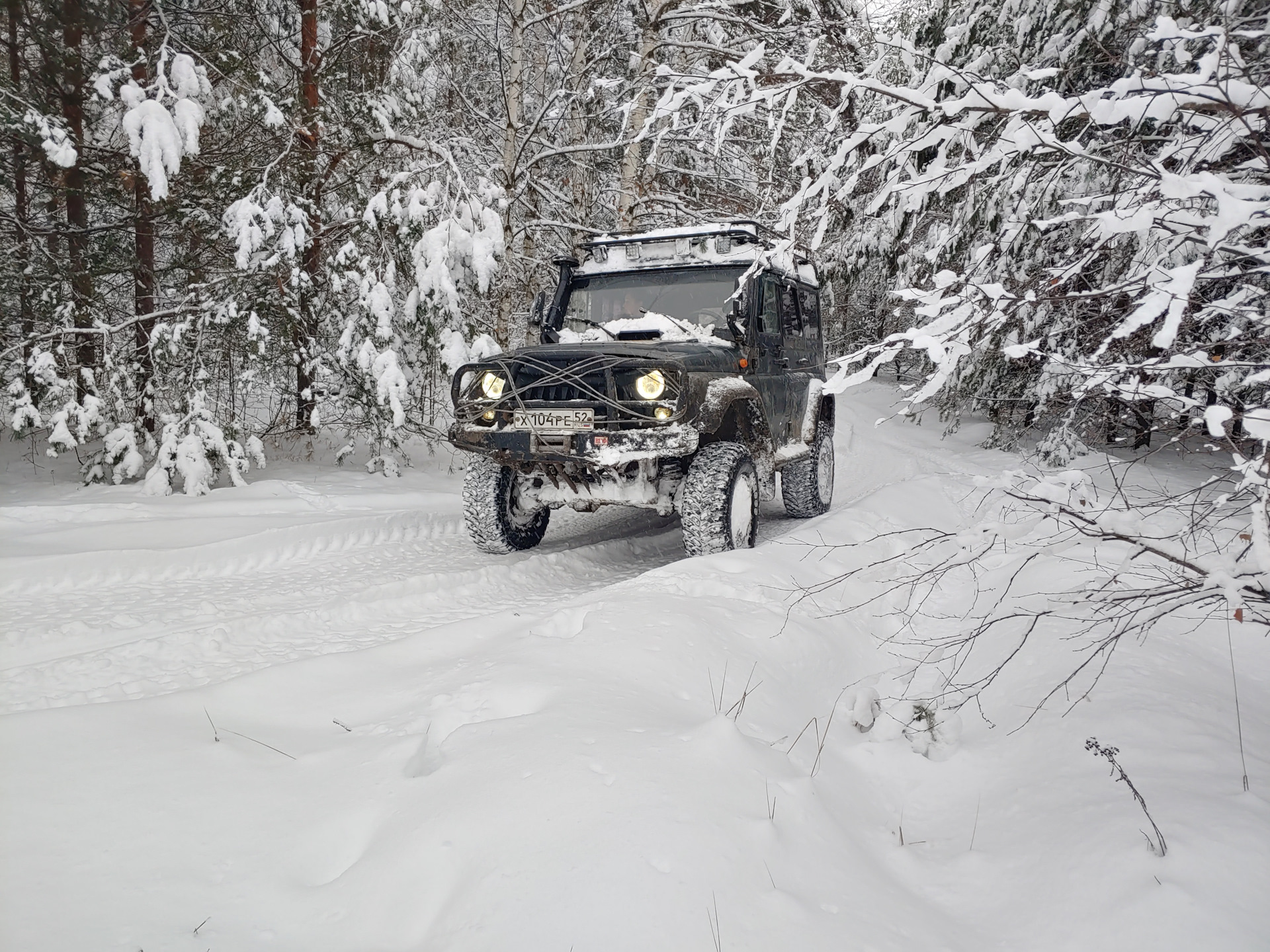 Фото из зимнего леса. Обкатка УАЗ Hanter QD32T — УАЗ 315195 Hunter, 3,2 ...