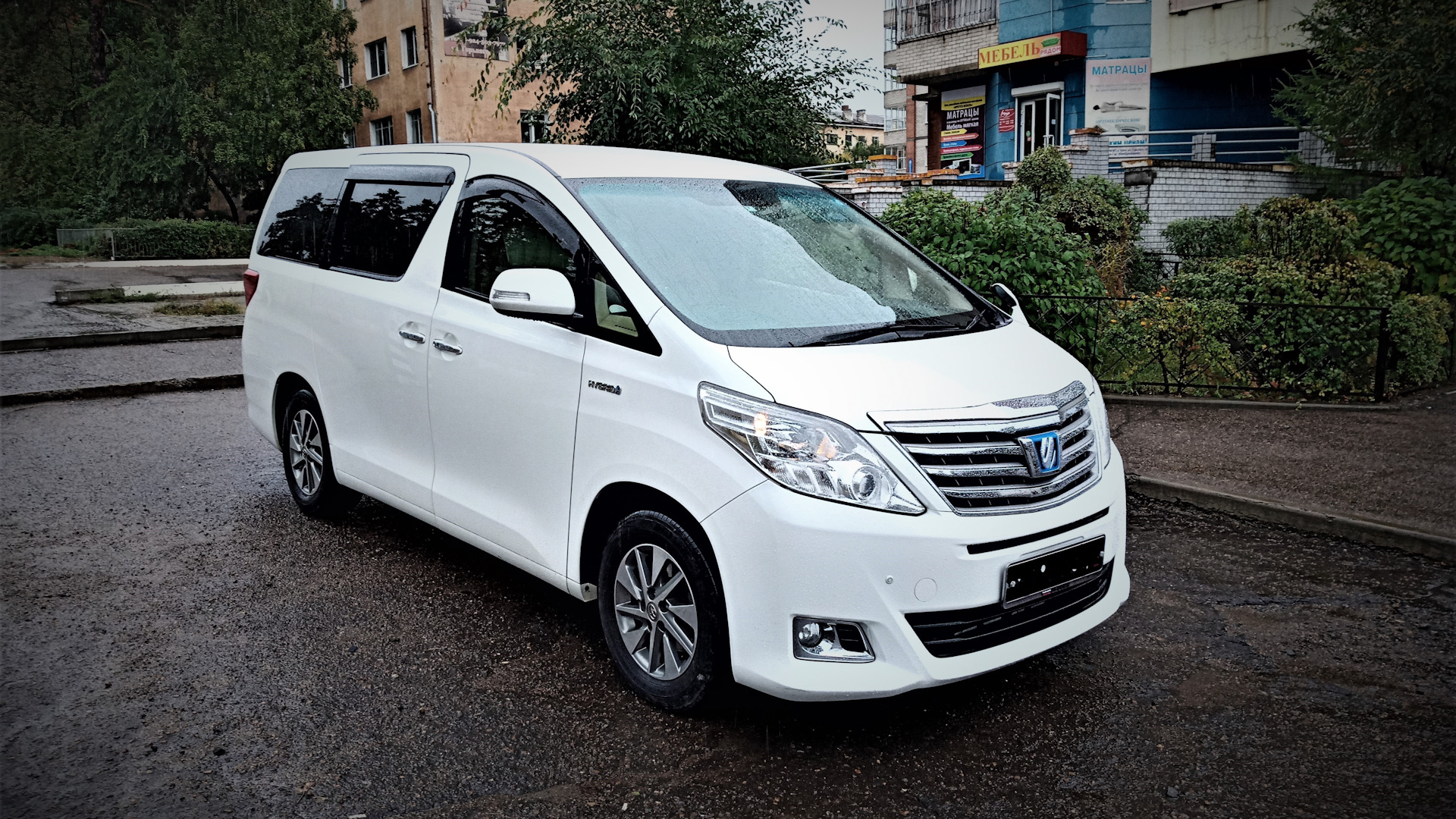 Toyota Alphard (2G) 2.4 гибридный 2014 | НЕодинокая звезда на DRIVE2