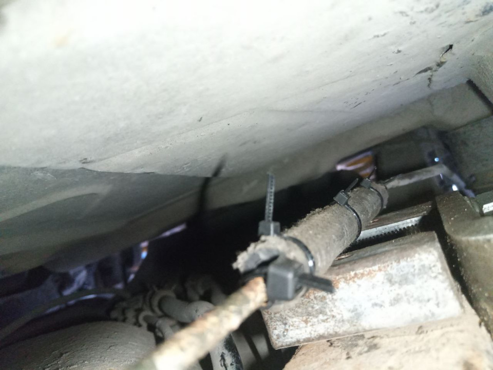 Трубки защищены — SsangYong Kyron