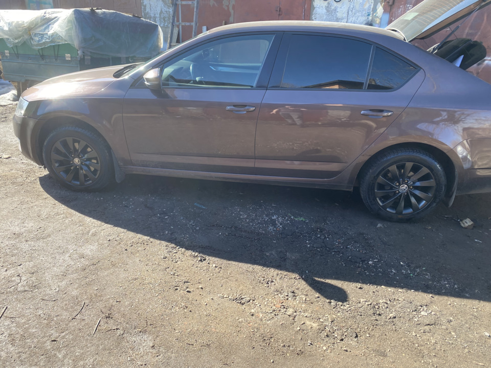 Фото в бортжурнале Skoda Octavia A7 Mk3