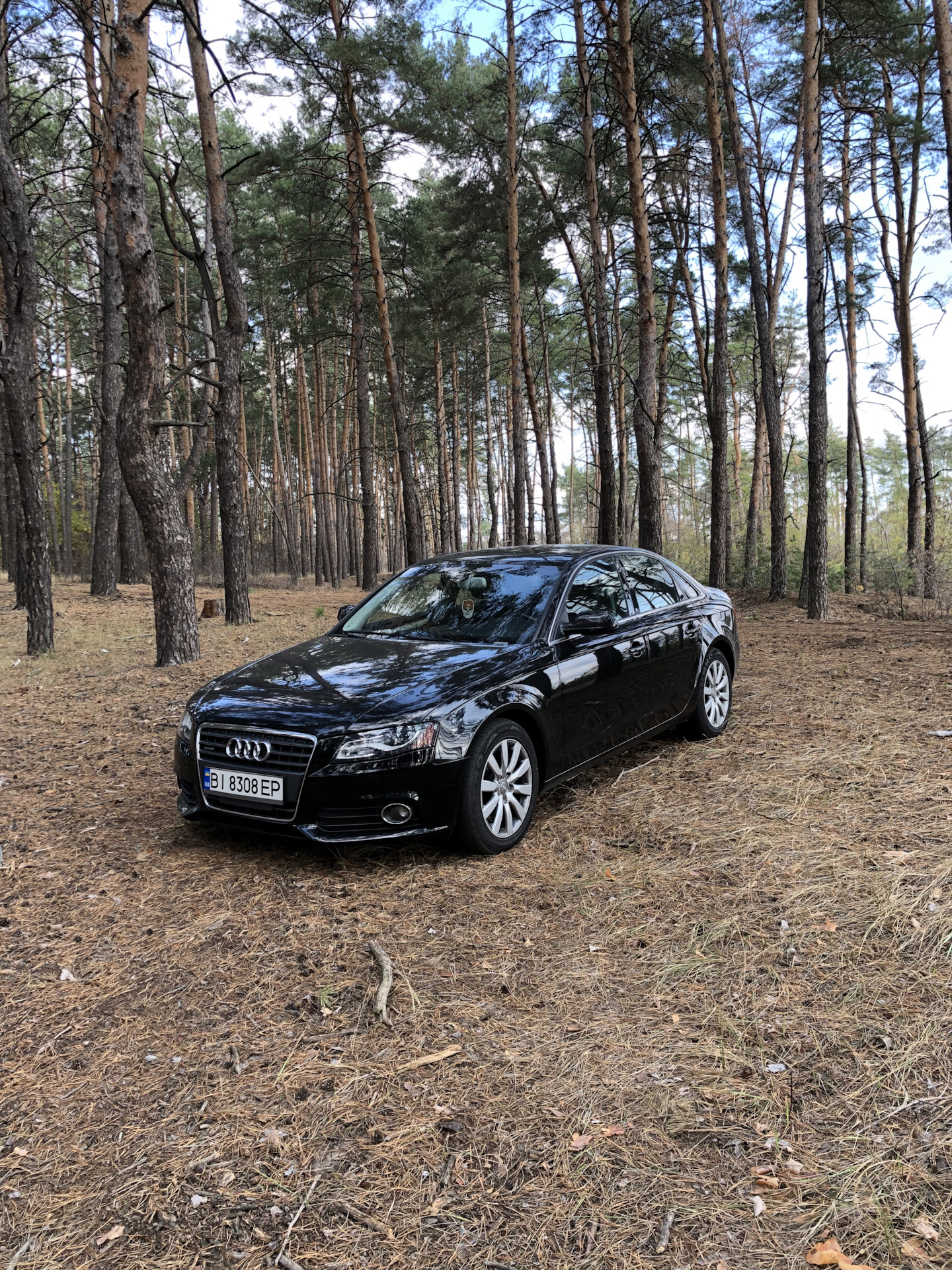 Обслуживание люка Audi A4 B8 — Audi A4 (B8), 2 л, 2010 года | своими руками  | DRIVE2