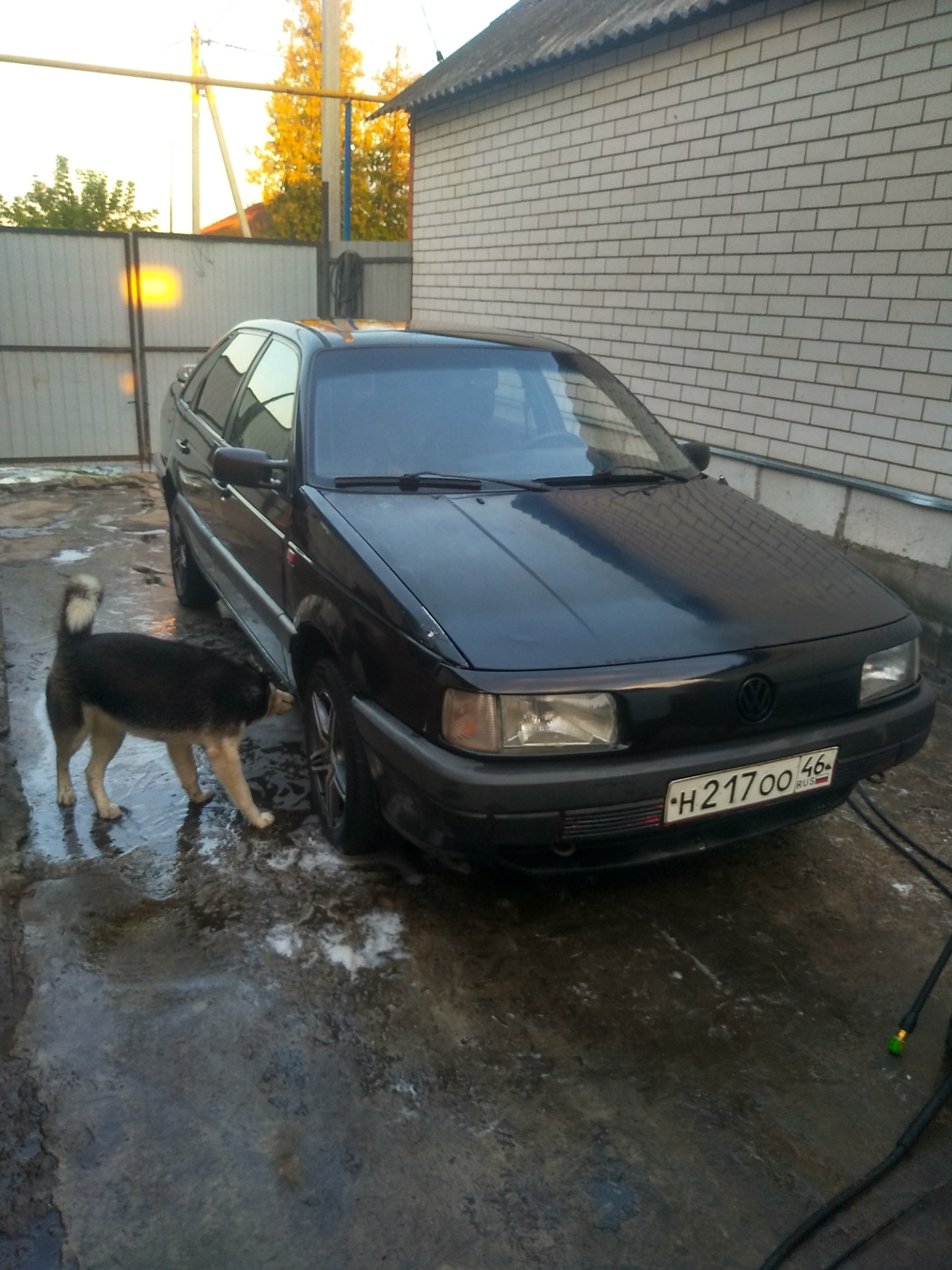 Вибрация по педали около 2000об — Volkswagen Passat B3, 1,9 л, 1990 года |  наблюдение | DRIVE2