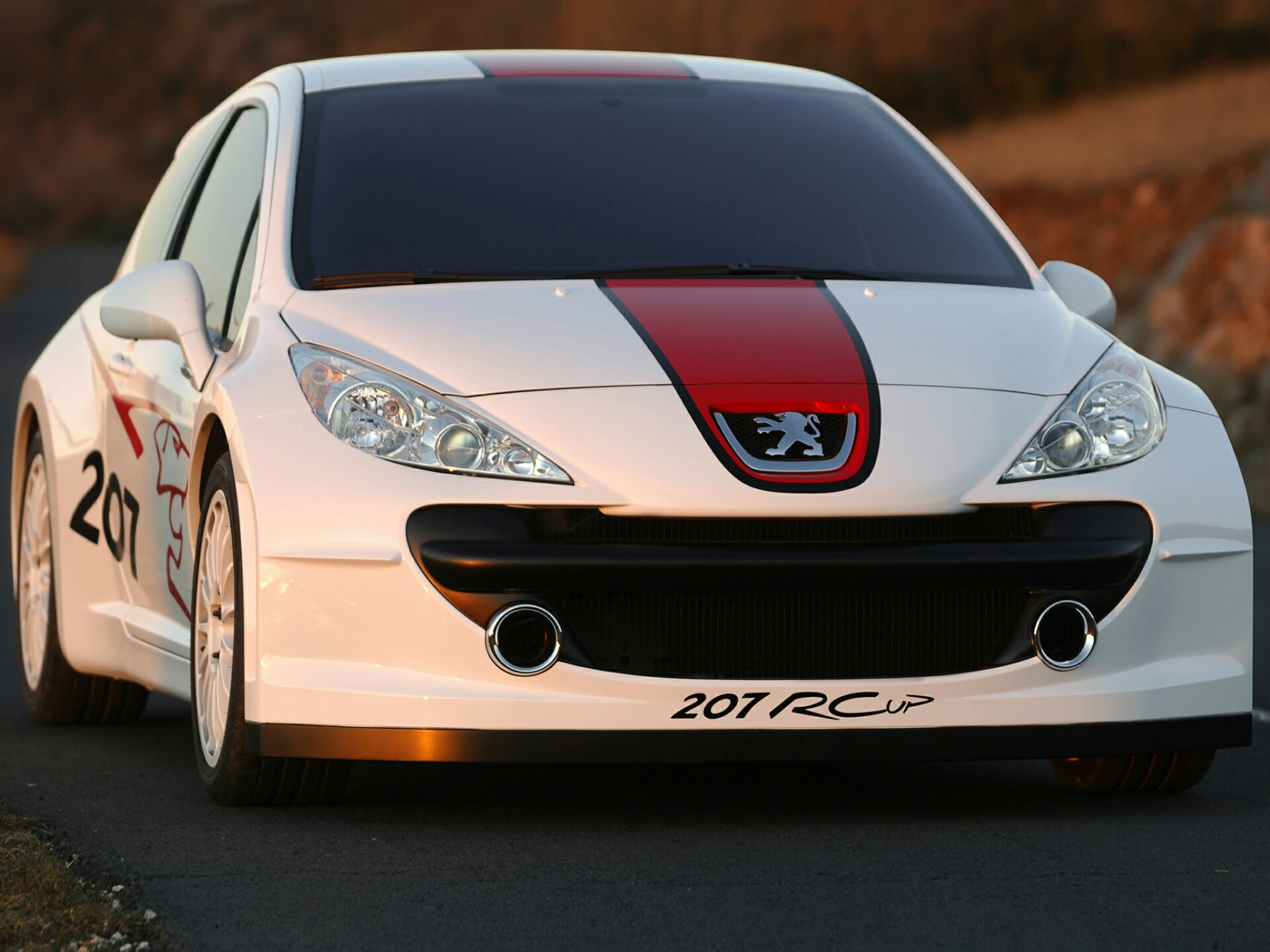 peugeot 207 rcup