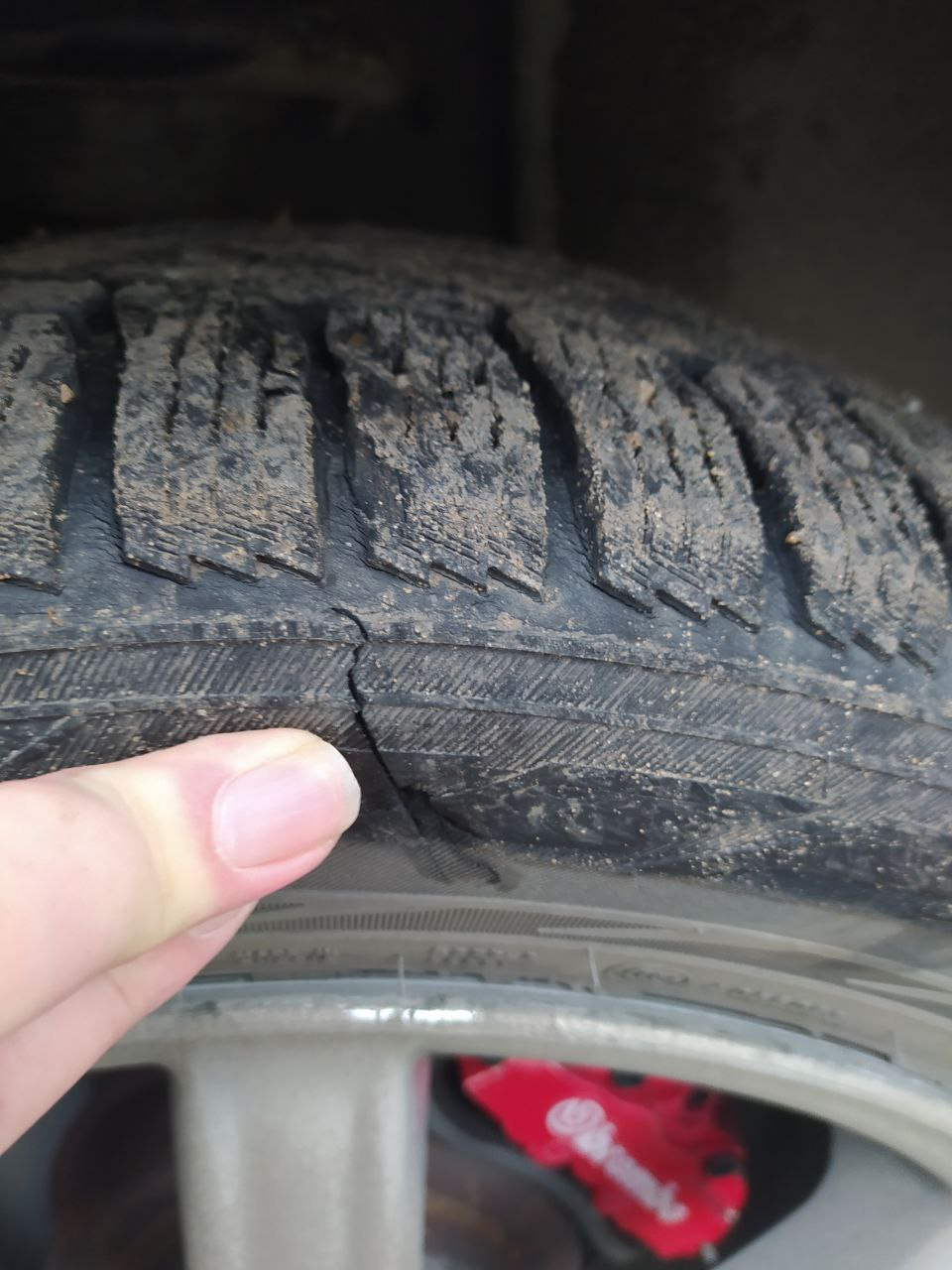 Фото в бортжурнале Subaru Forester (SG)