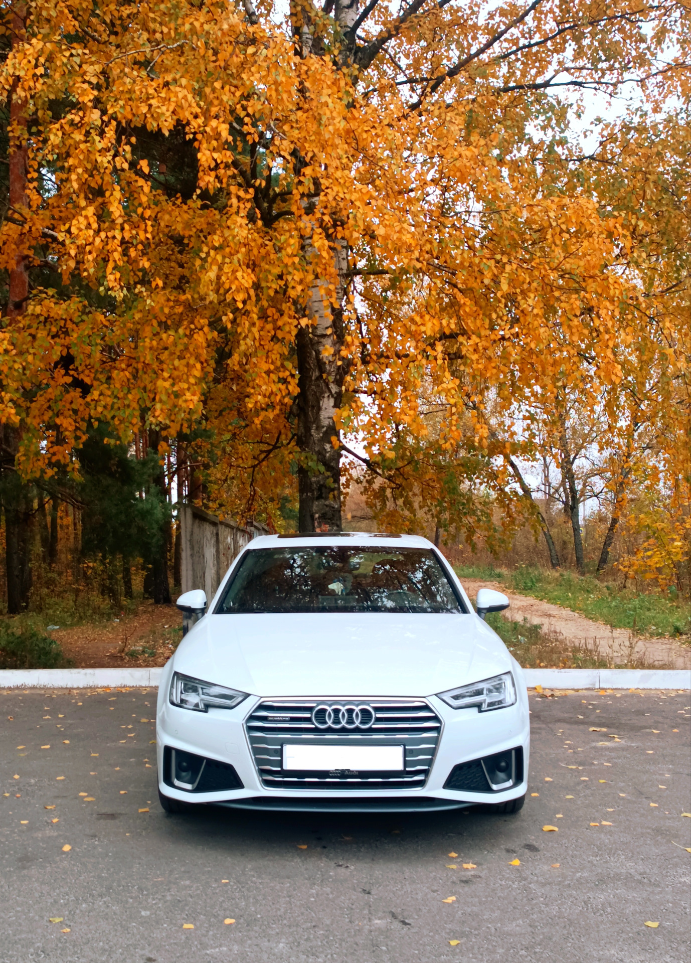 11 Финал настройки st3 IS38 2023 закрыт — Audi A4 (B9), 2 л, 2019 года |  тюнинг | DRIVE2