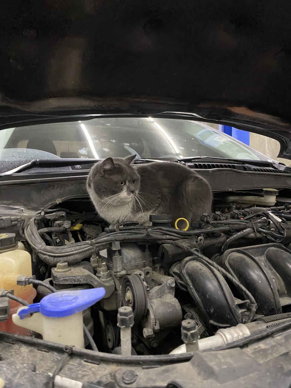 Замена крепления бампера и пайка — Ford Fusion (2G), 2,5 л, 2013 года ...