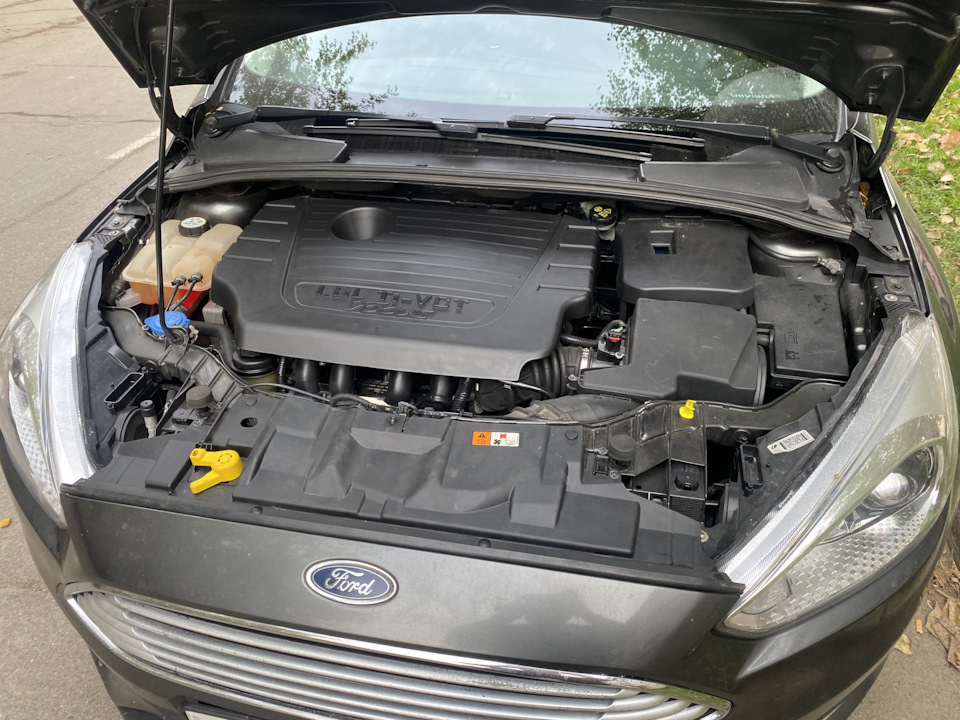 Фото в бортжурнале Ford Focus Wagon III