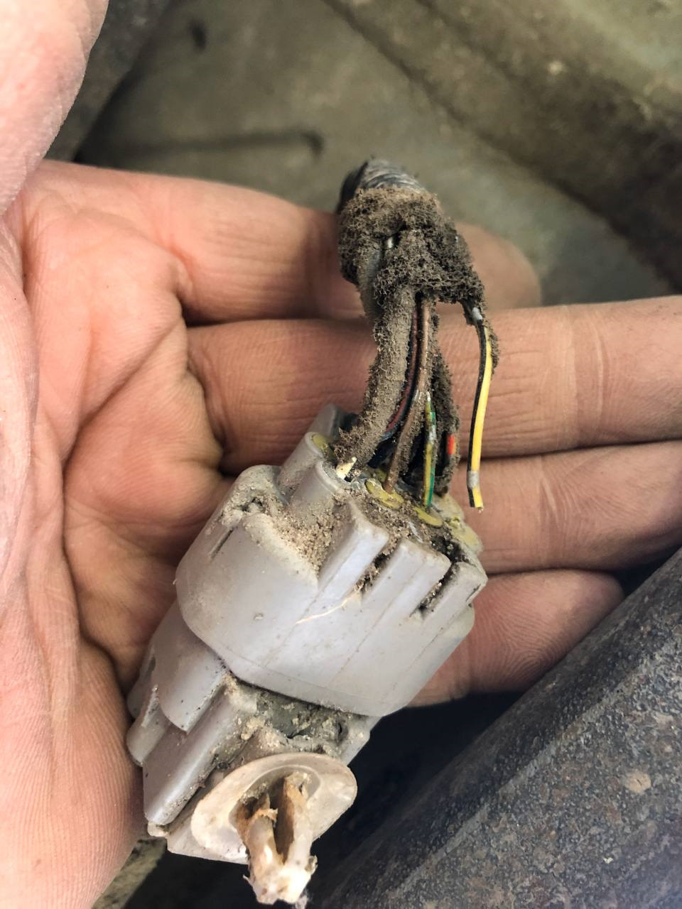 Стрелка бензина на нуле и горит лампочка ? — Toyota Land Cruiser 100, 4 ...