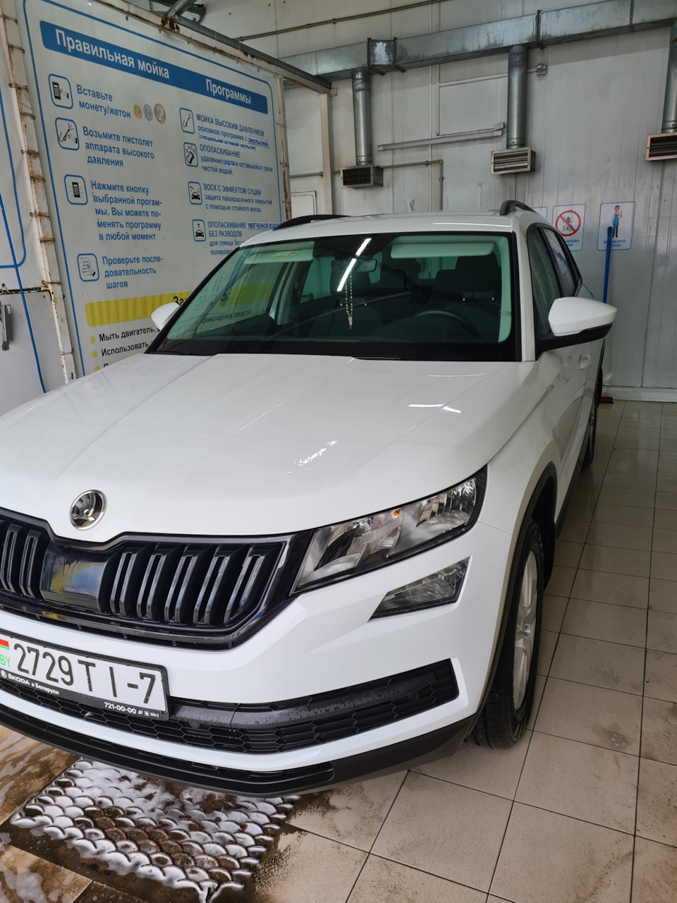 Лучшие друзья белых авто… — Skoda Kodiaq, 1,4 л, 2020 года | своими руками  | DRIVE2