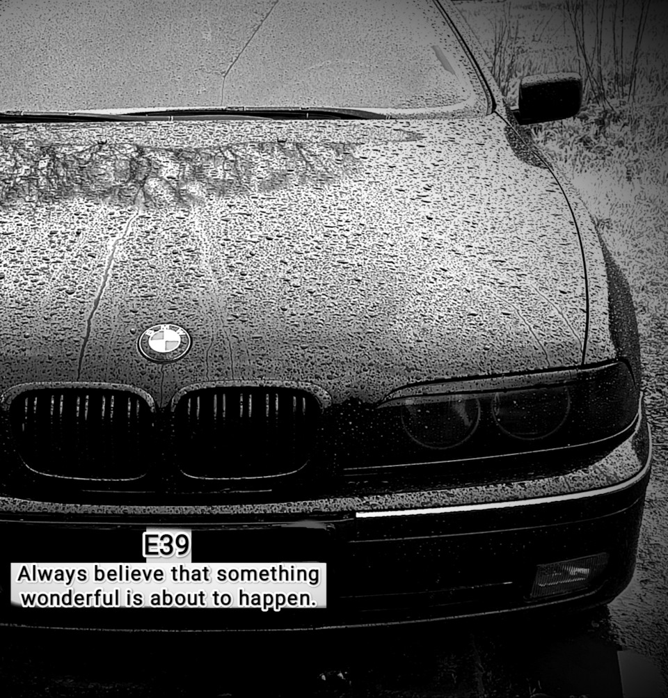 Пост грусти 😥😪 39точка уехала к новому хозяину. — BMW 5 series (E39), 2  л, 1997 года | продажа машины | DRIVE2