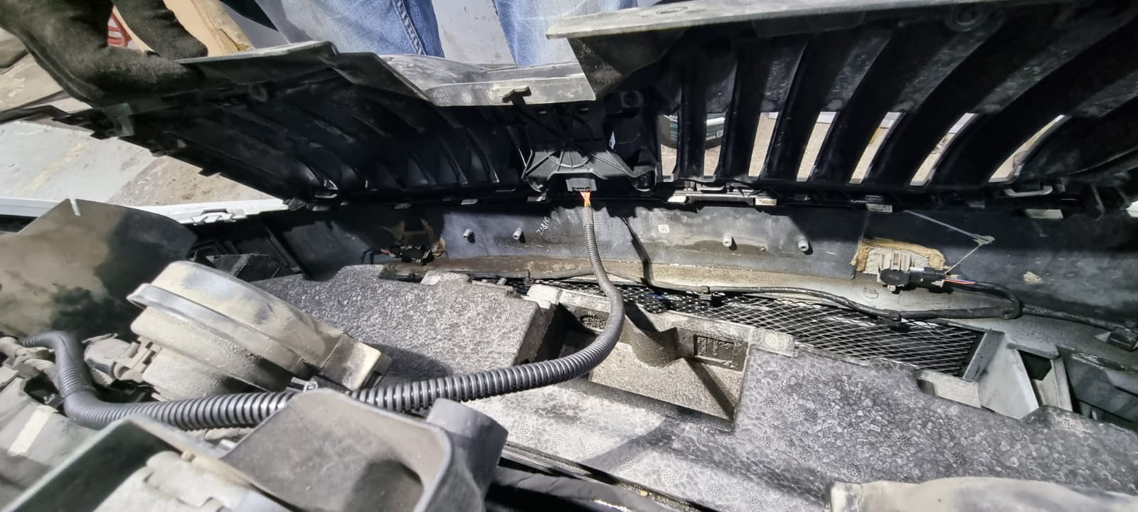 Адаптивный круиз контроль, установка. — Skoda Octavia A7 Mk3, 1,8 л ...