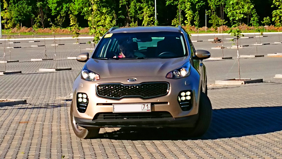 Sportage 4 ql. Kia QLE Sportage. Kia QLE Sportage 2018. Киа QLE (Sportage) 2019. Киа QLE Спортейдж 2017.