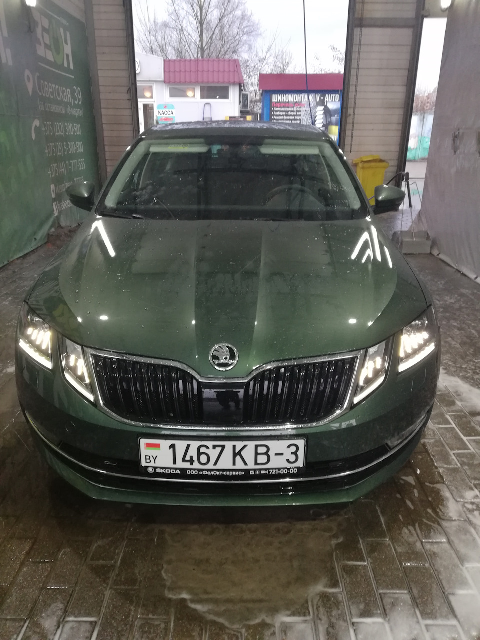 Первые впечатления после 2000 км в сравнении с Skoda Rapid — Skoda Octavia  A7 Mk3, 1,4 л, 2019 года | наблюдение | DRIVE2