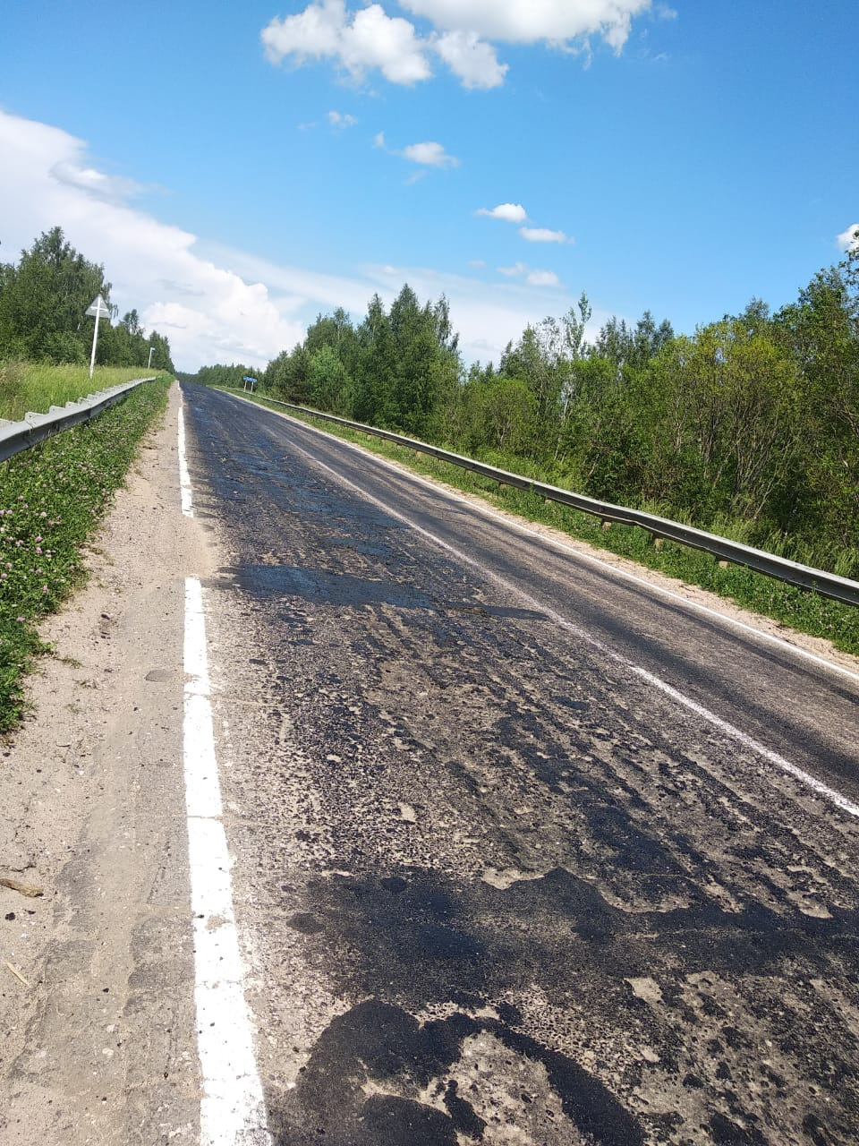 Жидкий асфальт — KIA Sorento (2G), 2,4 л, 2019 года | путешествие | DRIVE2