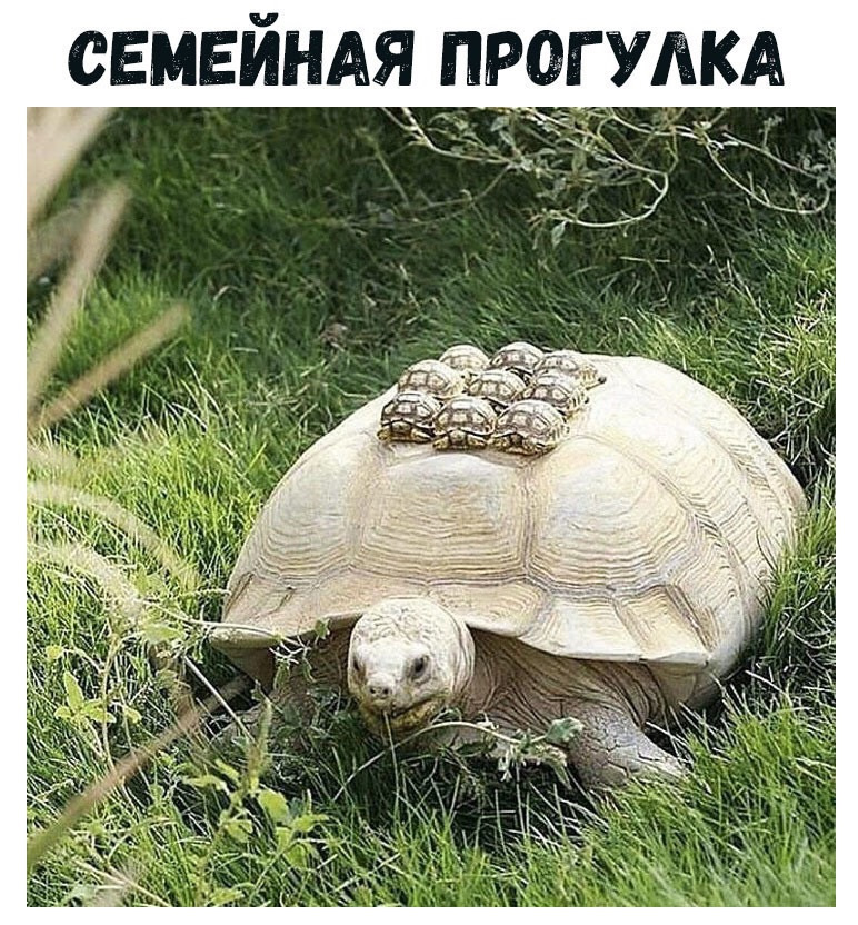 Моргает и горит лампа масла! — Mitsubishi Galant (9G), 2,4 л, 2006 года ...