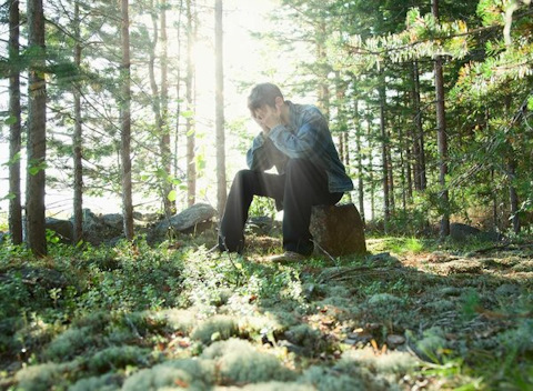 Что можно сделать на дереве