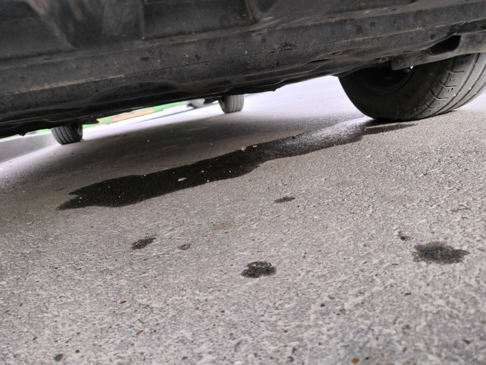 Снова ушел антифриз. Вытек. Замена помпы цфна — Skoda Rapid (1G), 1,6 л ...