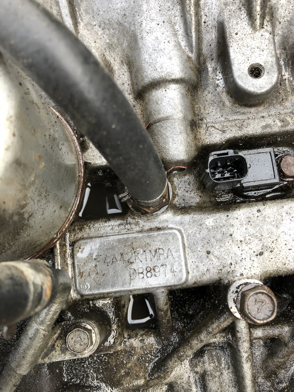 Фото в бортжурнале Mitsubishi Carisma