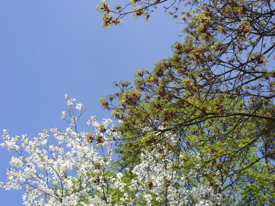 Ударный субботник Ч.3: Полная замена масла АКПП Туарег 3,2 — Volkswagen ...