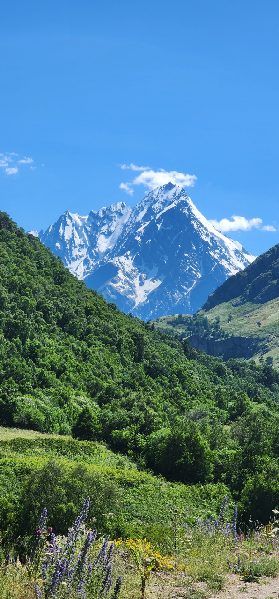 Фото в бортжурнале Mitsubishi Pajero Sport (3G)