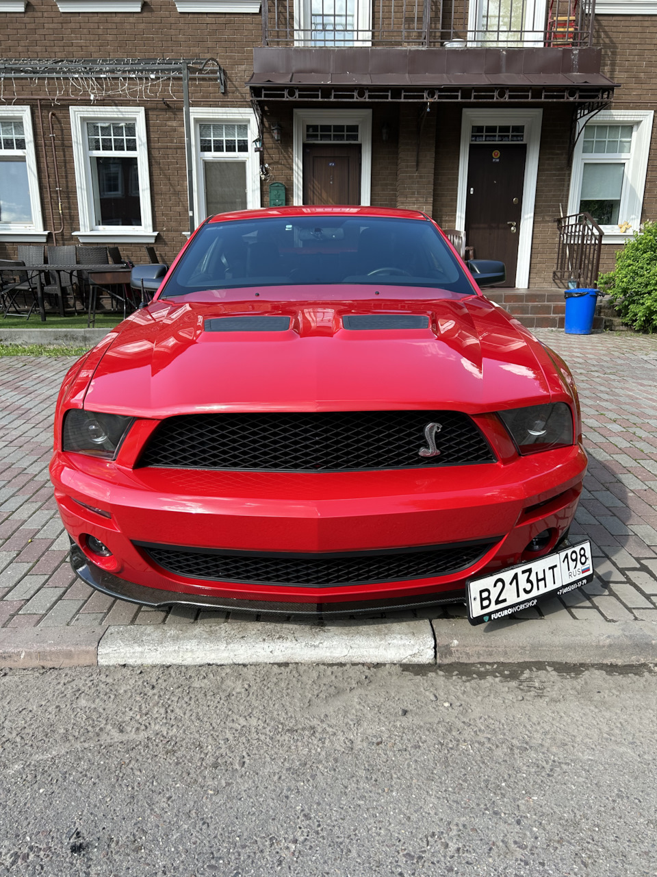 Продам Змее-Коня) — Ford Mustang (5G), 5,4 л, 2008 года | продажа машины |  DRIVE2