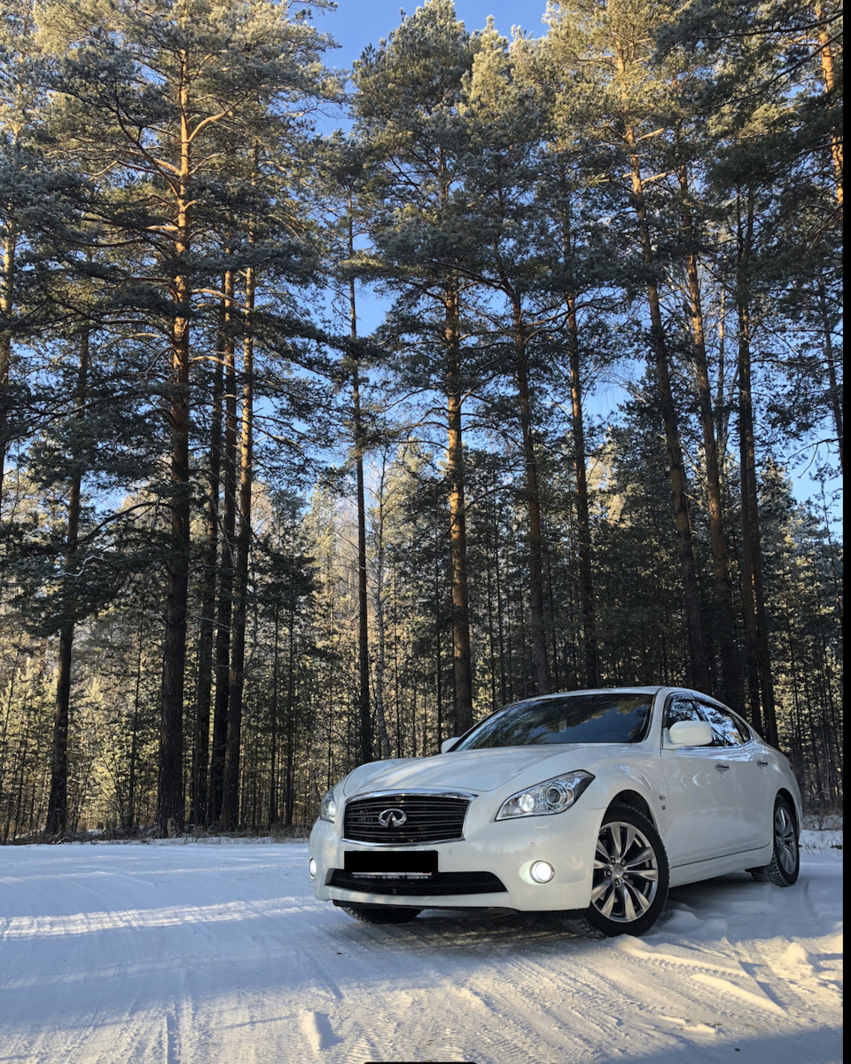 Фотосет в Свердловской области — Infiniti Q70, 3,7 л, 2014 года |  фотография | DRIVE2