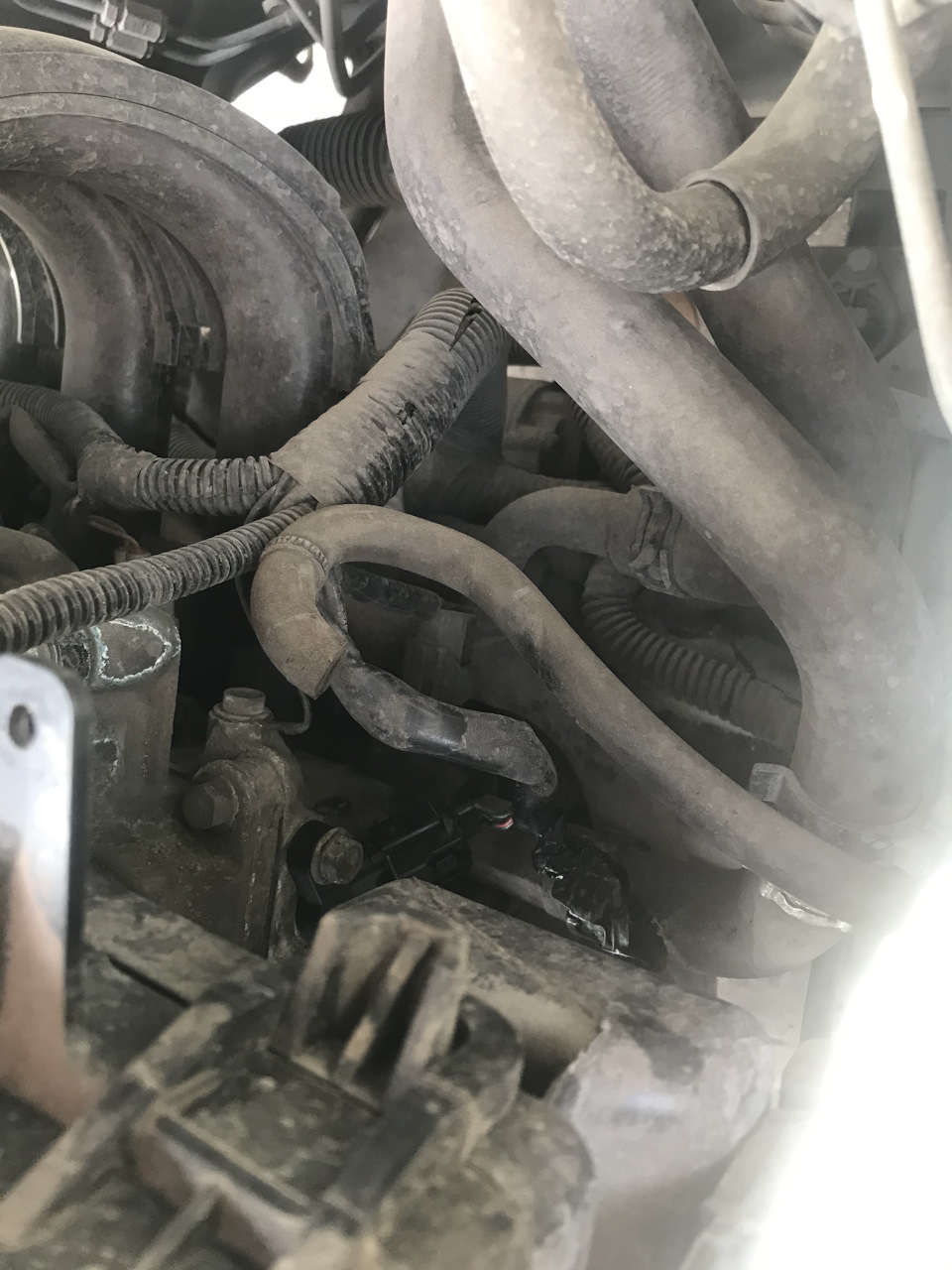 Откуда этот шланг? — Nissan Micra (K12), 1,4 л, 2004 года | наблюдение ...