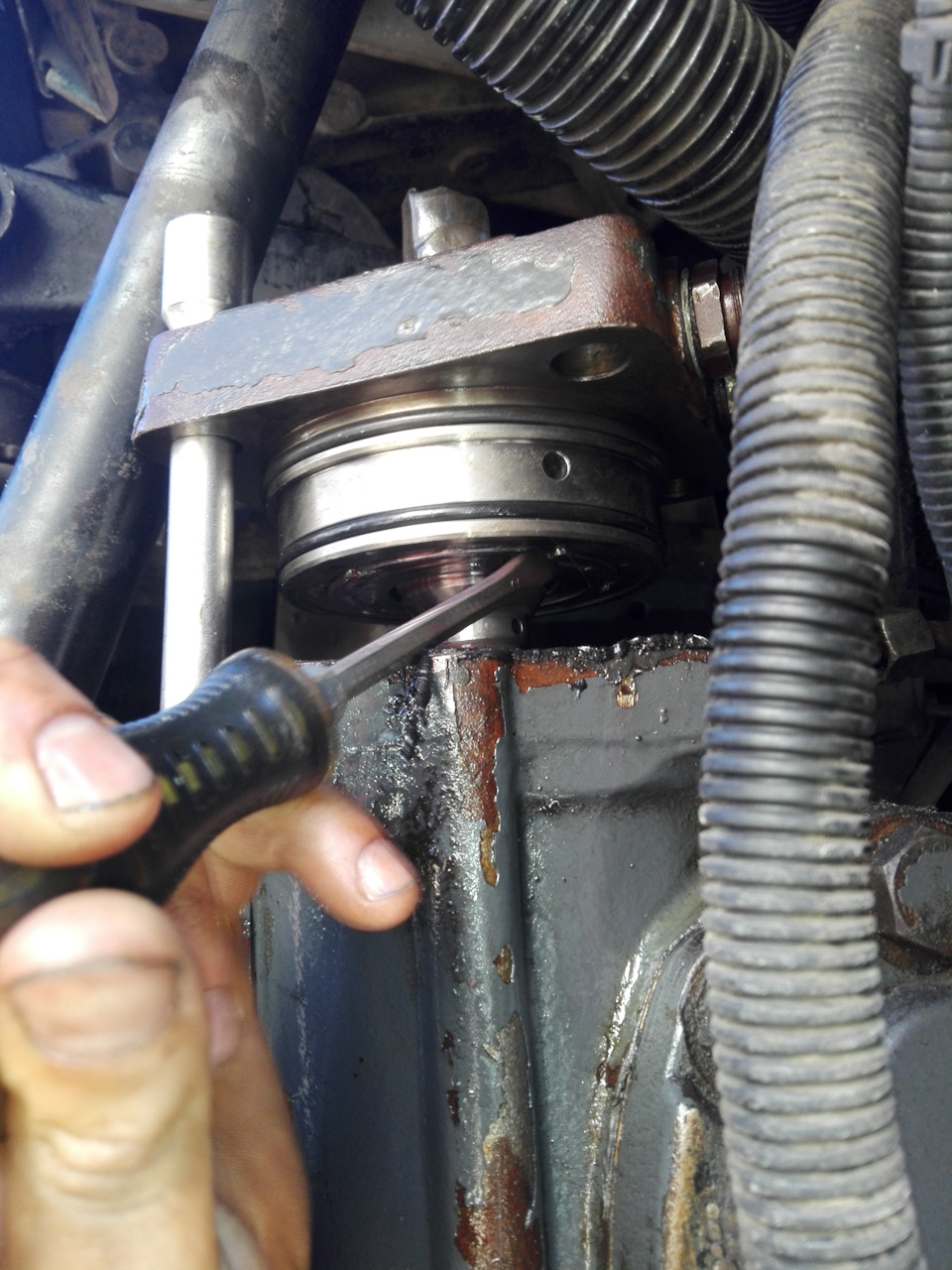 Течь сальника Гура Даф ХF95 — DRIVE2