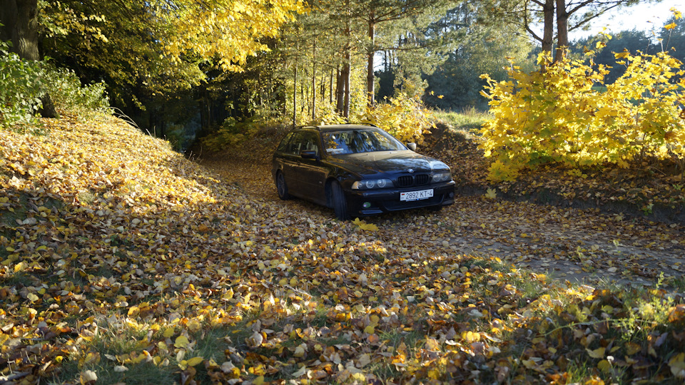 BMW 5 series "ЖОРА"