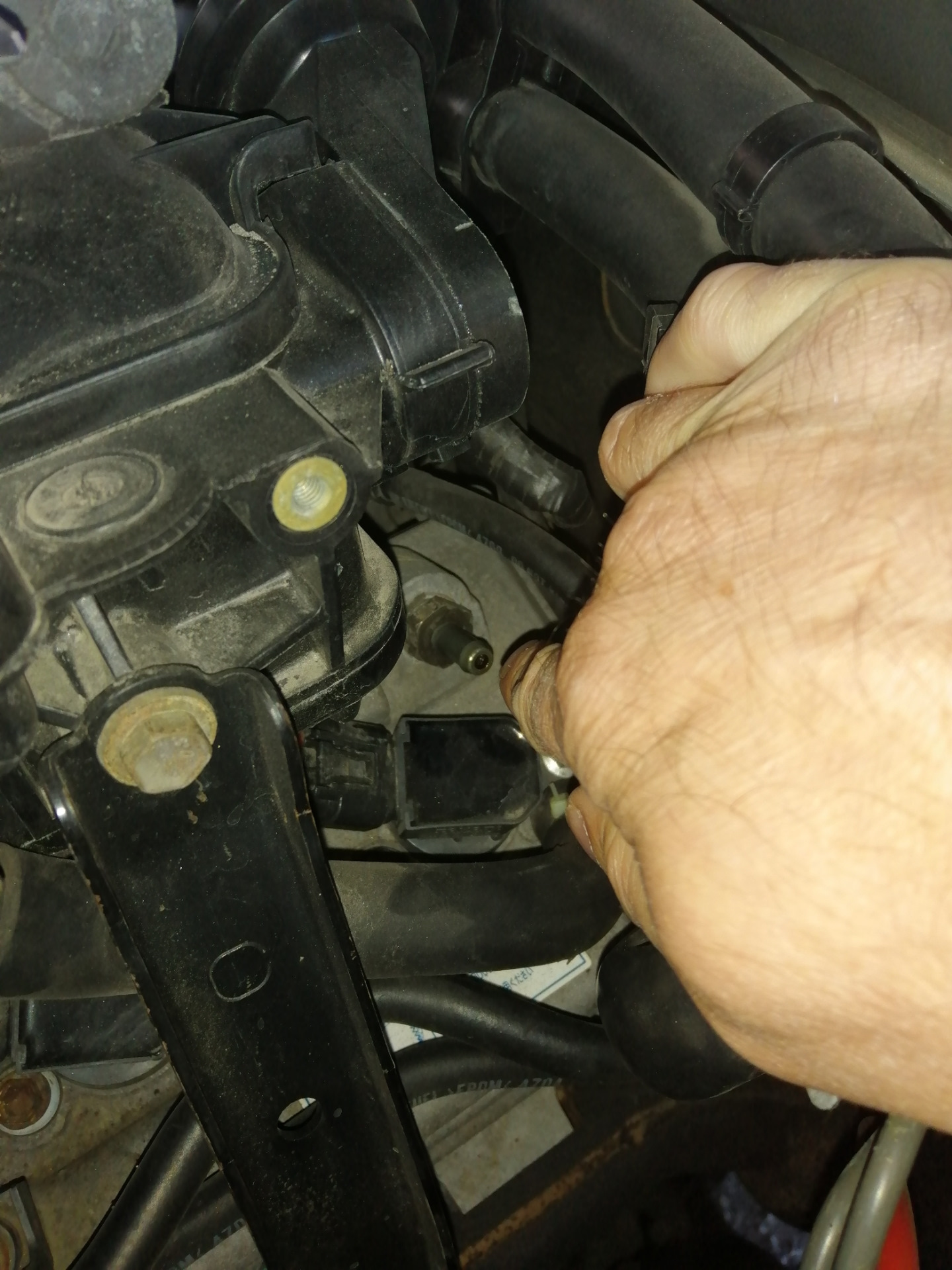 Замена клапана картерных газов. — Toyota Land Cruiser Prado 120-series ...