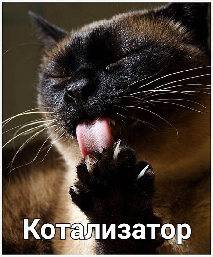 Последствия удаления катализатора со знаком + — Mazda 6 (3G) GJ, 2 л ...