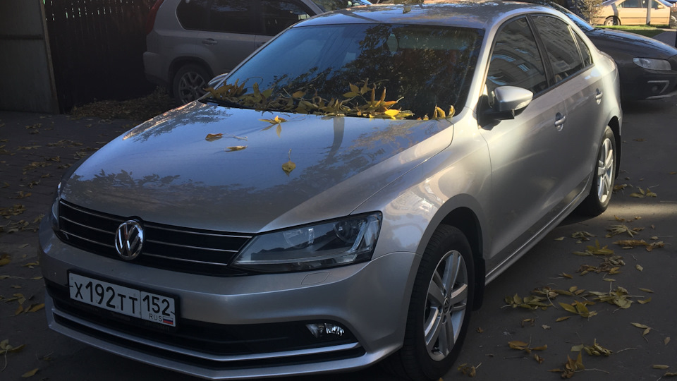Volkswagen Jetta Волчонок