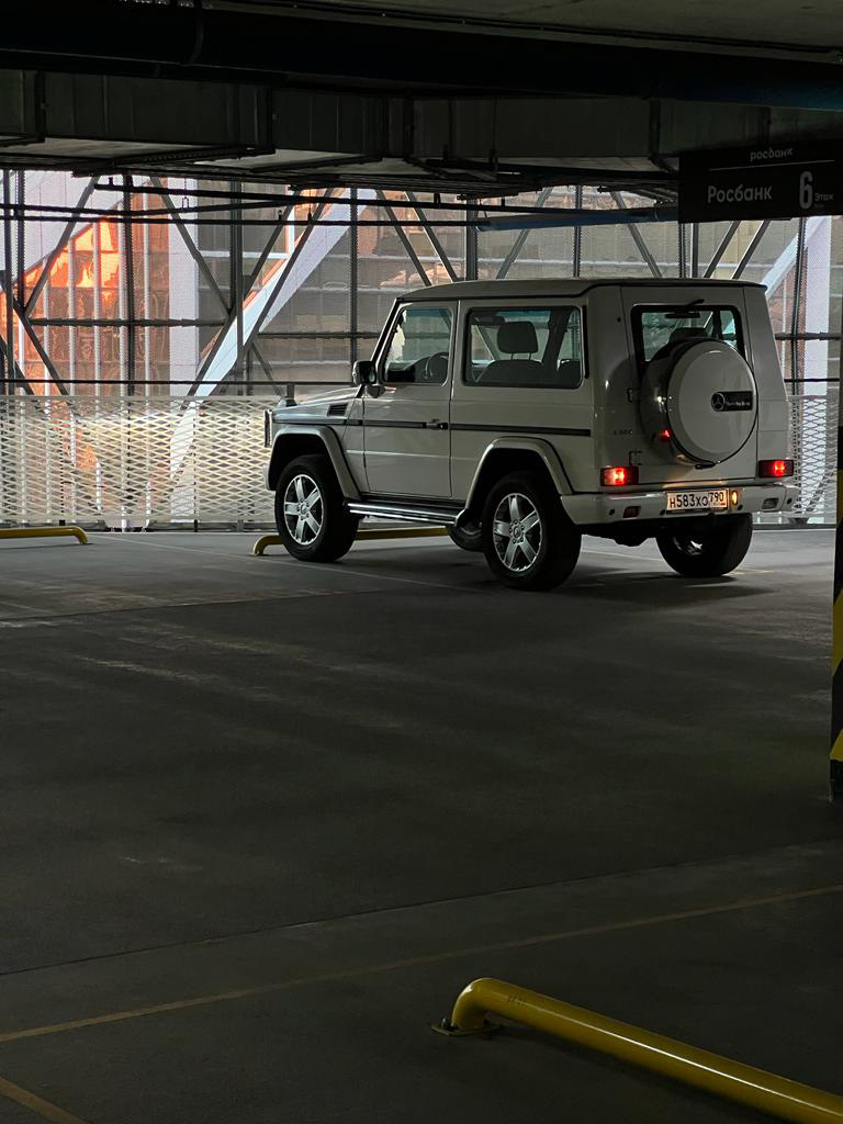 Гелендваген и камни. — Mercedes-Benz G 55 AMG (W463), 2009 года | другое |  DRIVE2