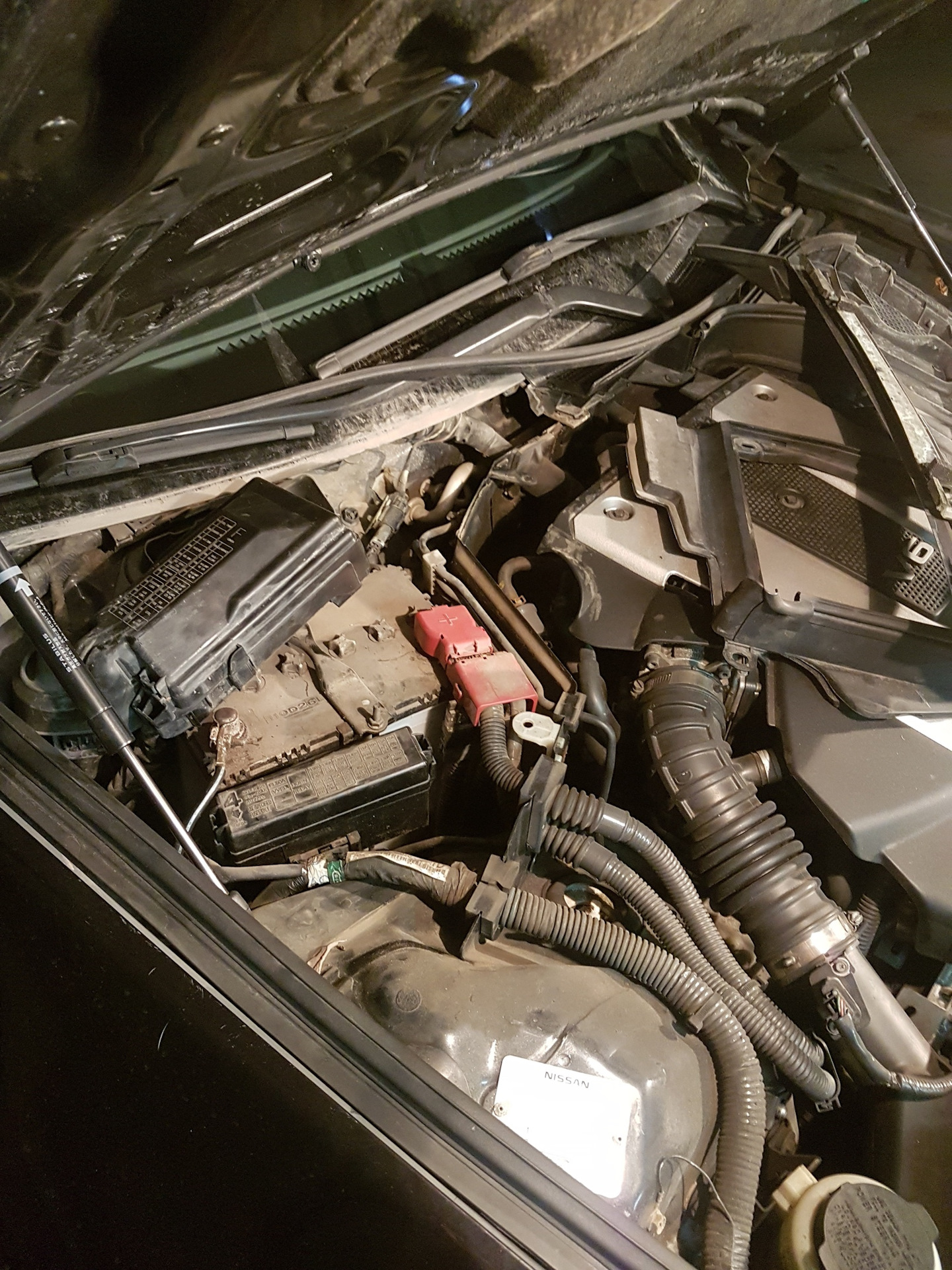 Предохранитель ПТФ — Infiniti G25, 2,5 л, 2012 года | своими руками ...