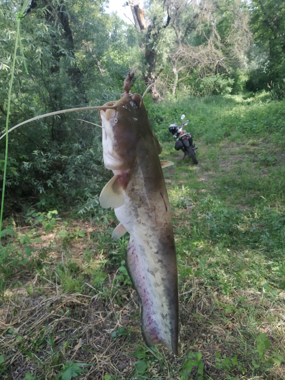 Фото в бортжурнале Honda Civic Hatchback (9G)