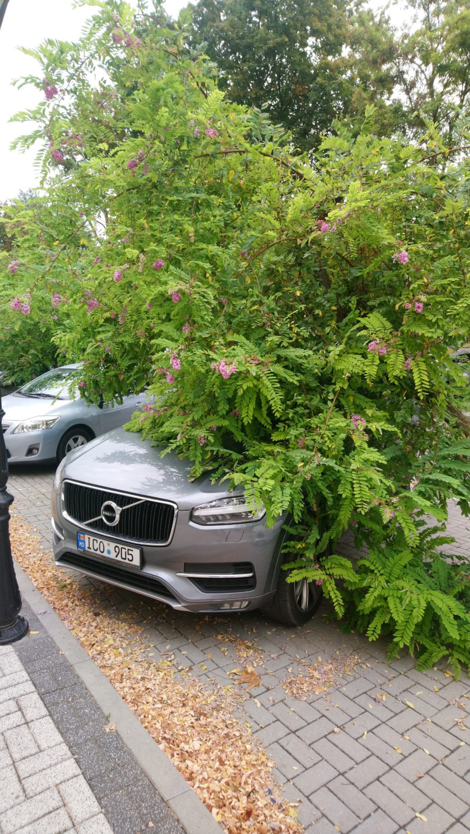 Фото в бортжурнале Volvo XC90 (2G)