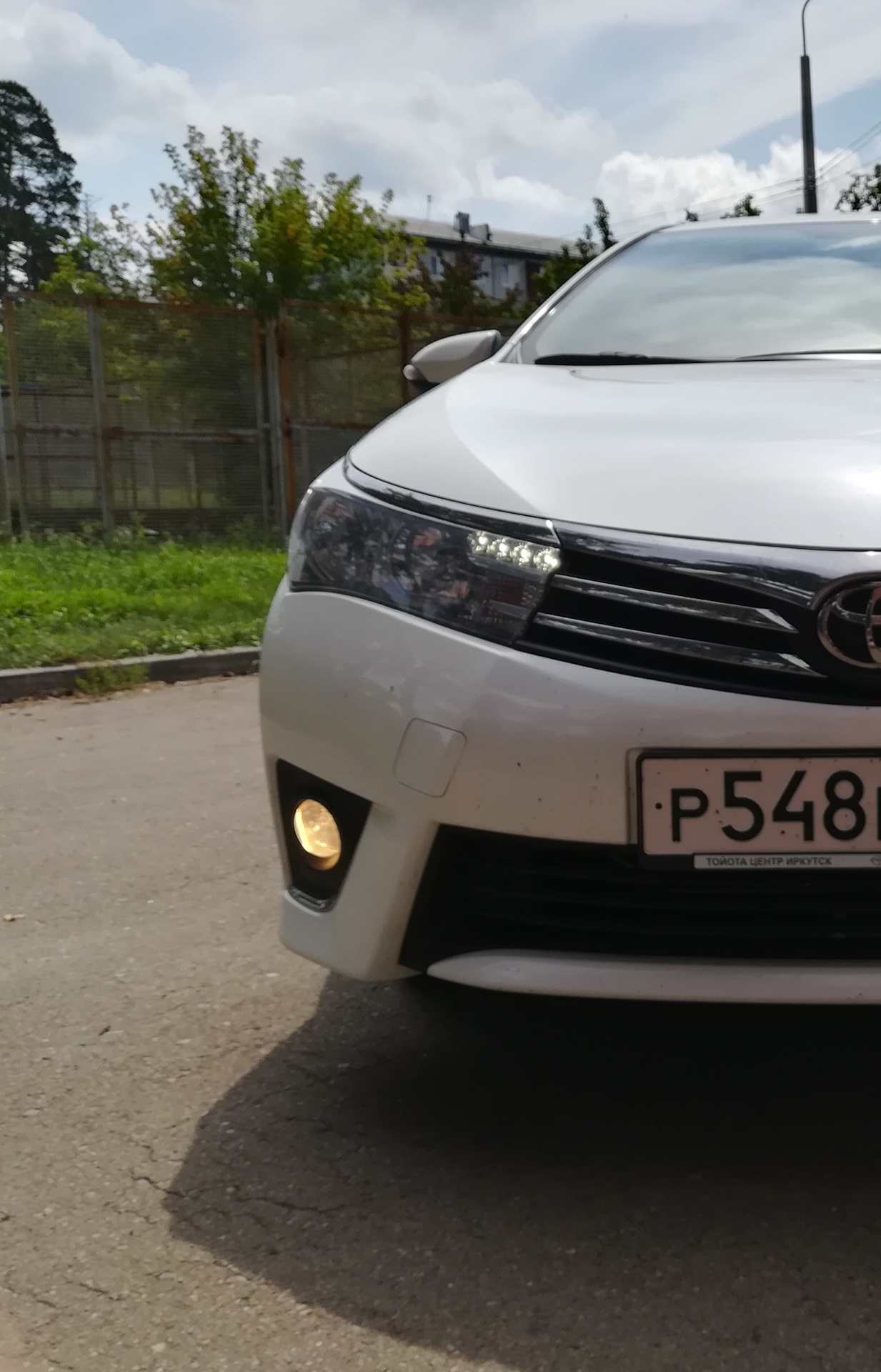 Туманки MTF Light — Toyota Corolla (160), 1,6 л, 2013 года | запчасти ...