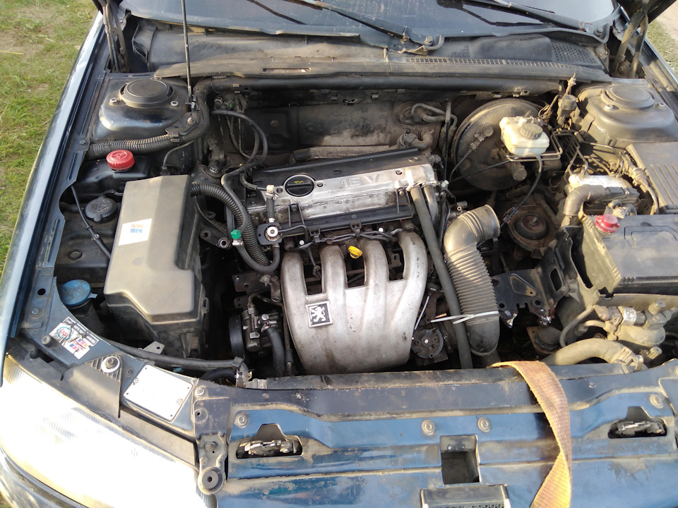 Упал движок — Peugeot 406, 2 л, 1998 года | поломка | DRIVE2