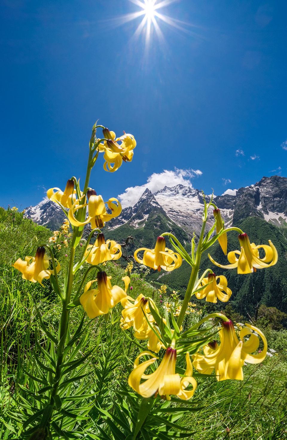 Фото в бортжурнале Renault Kaptur (2020)