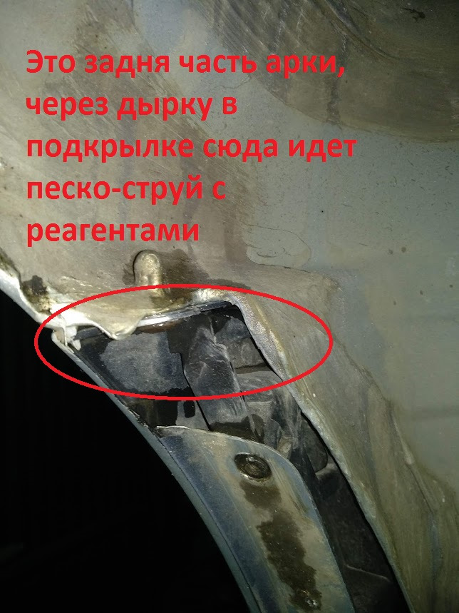 Фото в бортжурнале Volkswagen Polo Sedan