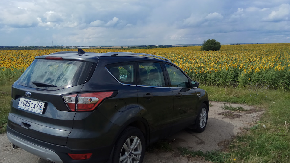 Ford Kuga 🎶 🎸 🎹