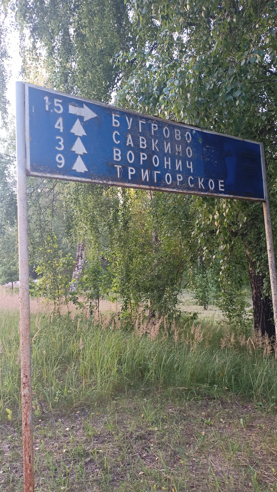 Тоболенец. Тоболенец Пушкинские горы. Тоболенец озеро. Чудское озеро. Дикое озеро Пушкино.