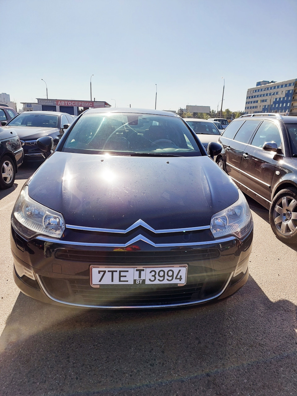 Багира нашла новую семью — Citroen C5 (2G), 2 л, 2008 года | продажа машины  | DRIVE2