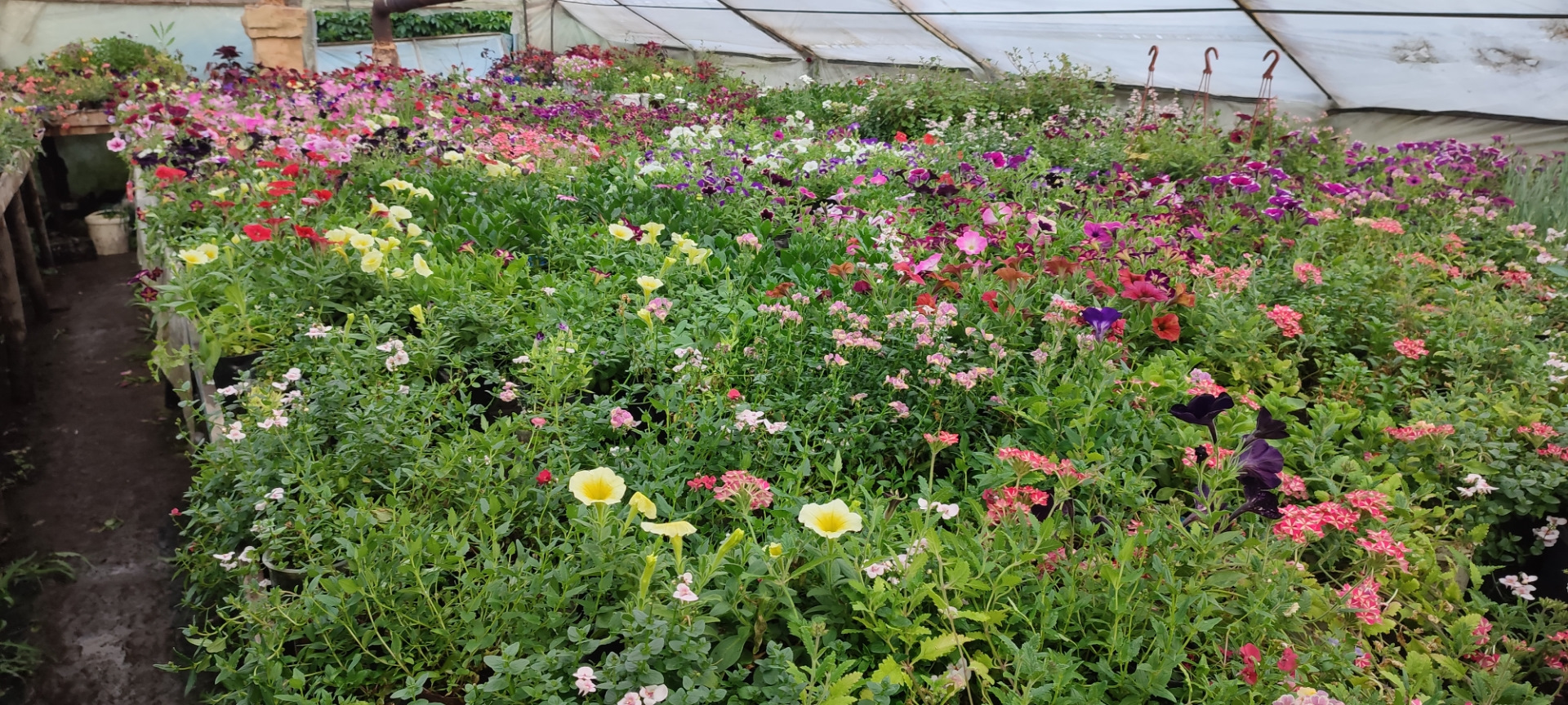 Подтяжка ручника. Ремонт подкатного домкрата Airline. Устранение скрипа ...