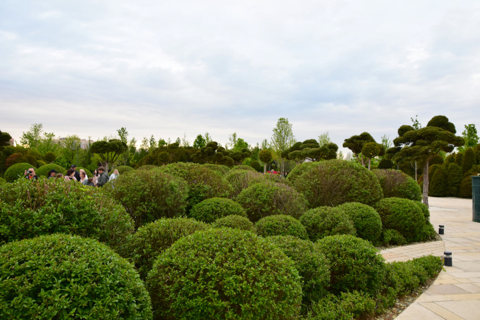 Фото в бортжурнале Renault Duster (1G)